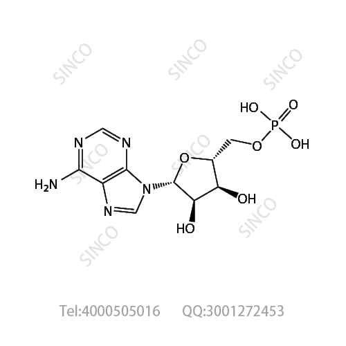 5'-单磷酸腺苷